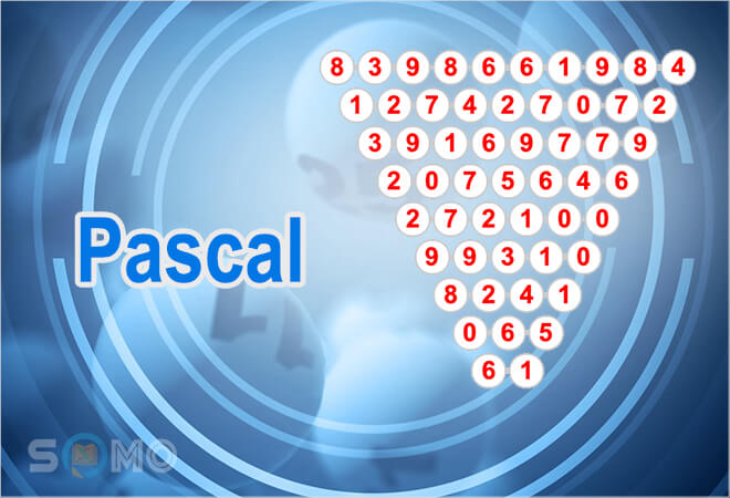 Soi cầu pascal đem lại kết quả tốt không thể bỏ qua