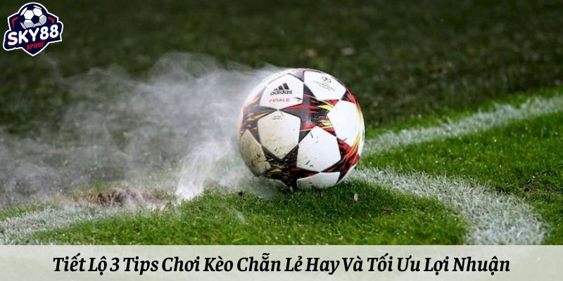 Tiết Lộ 3 Tips Chơi Kèo Chẵn Lẻ Hay Và Tối Ưu Lợi Nhuận