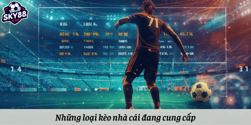 Những loại kèo nhà cái đang cung cấp