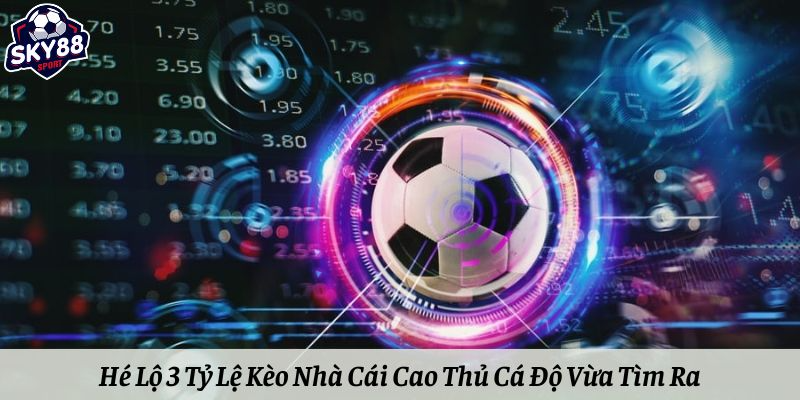 Hé Lộ 3 Tỷ Lệ Kèo Nhà Cái Cao Thủ Cá Độ Vừa Tìm Ra