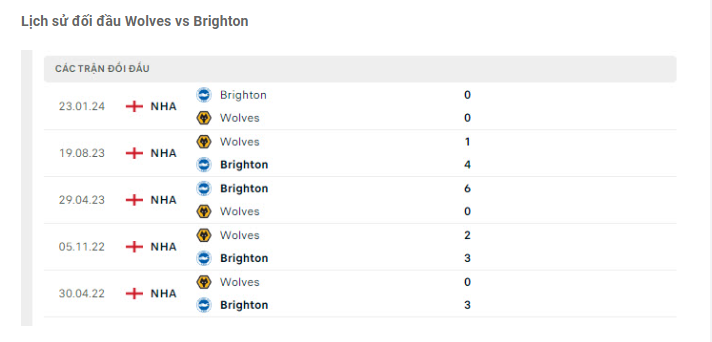 Lịch sử đối đầu Wolves vs Brighton