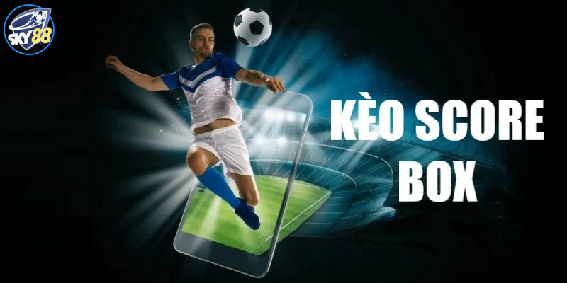 Kèo Chấp Score Box Là Gì? 4 Điều Kiện Quyết Định Kết Quả